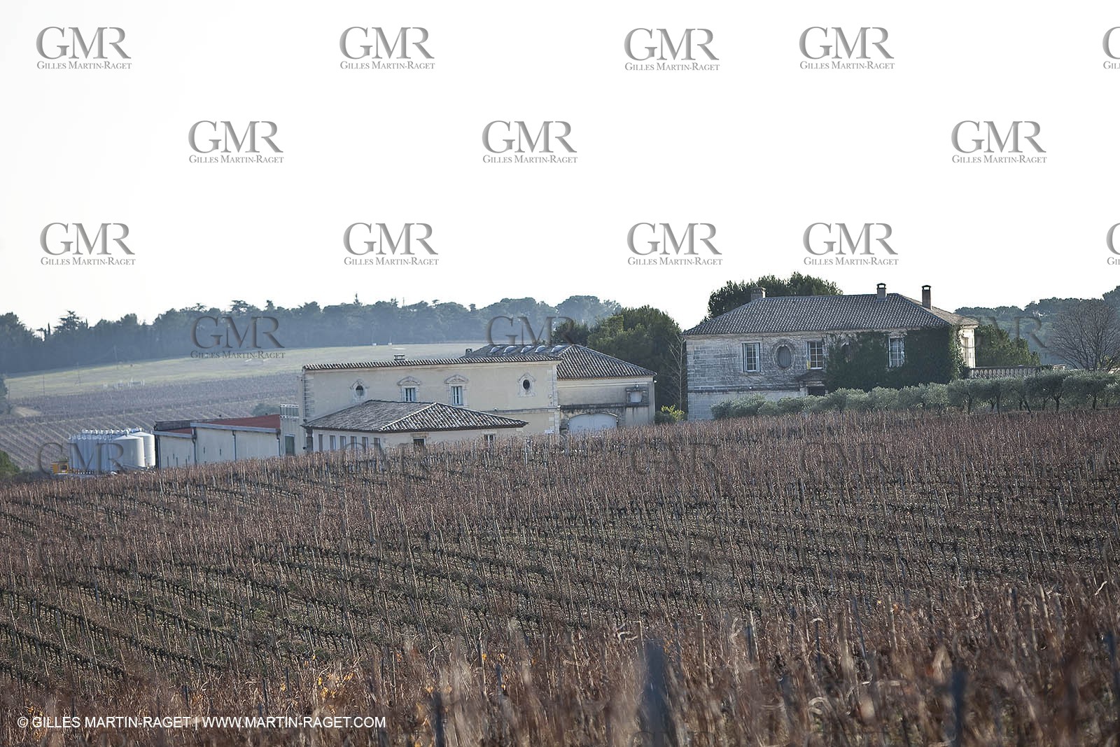 Saint Drézéry (FRA, 34), Domaine de Puech Haut