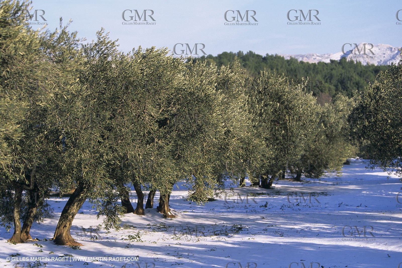 Provence sous la neige - Les Baux de Provence