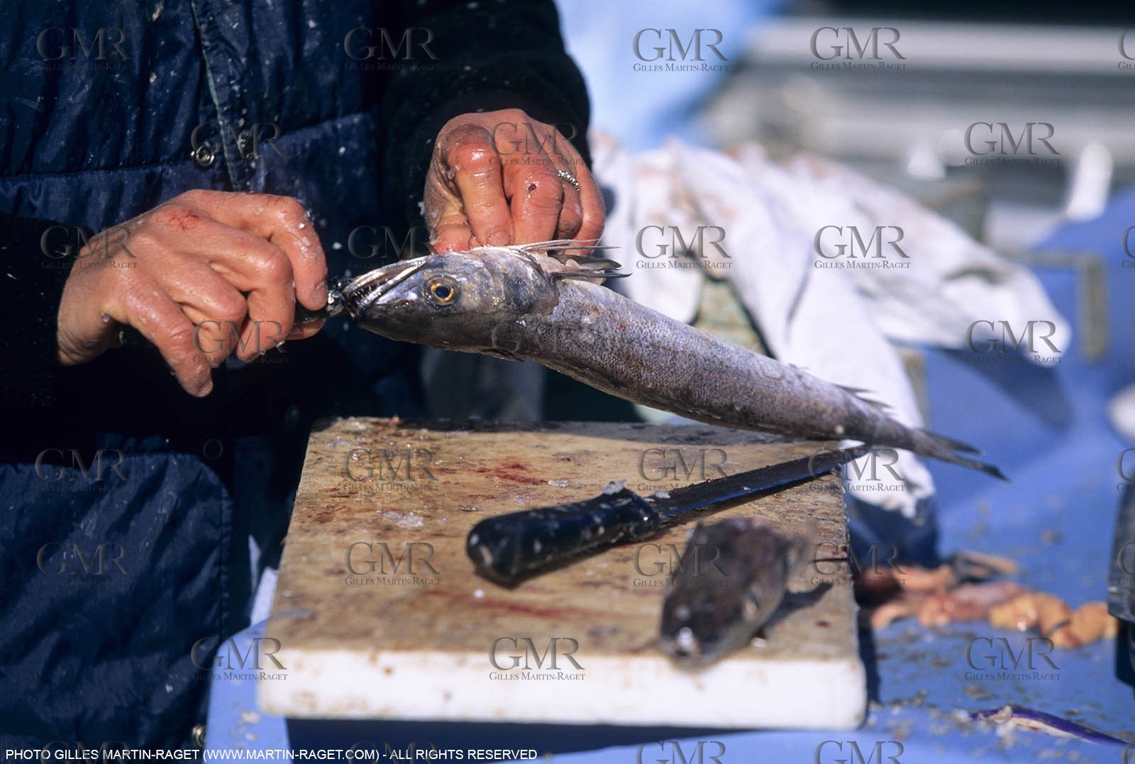 Marseille (FRA,13), Fishing