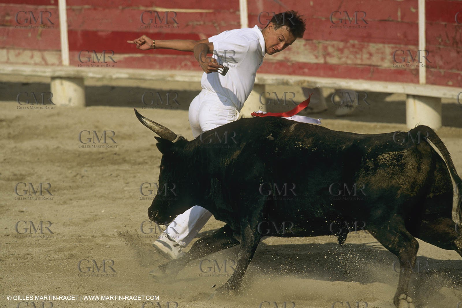 France, Provence, Course libre