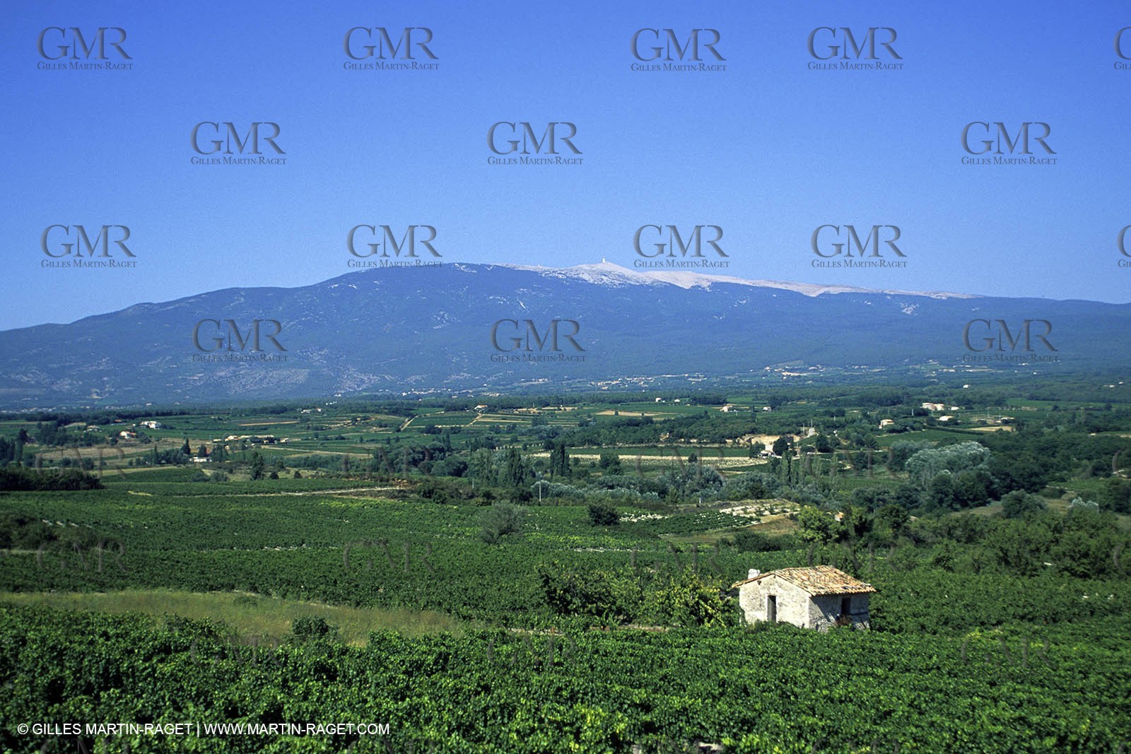 Provence - Mont Ventoux