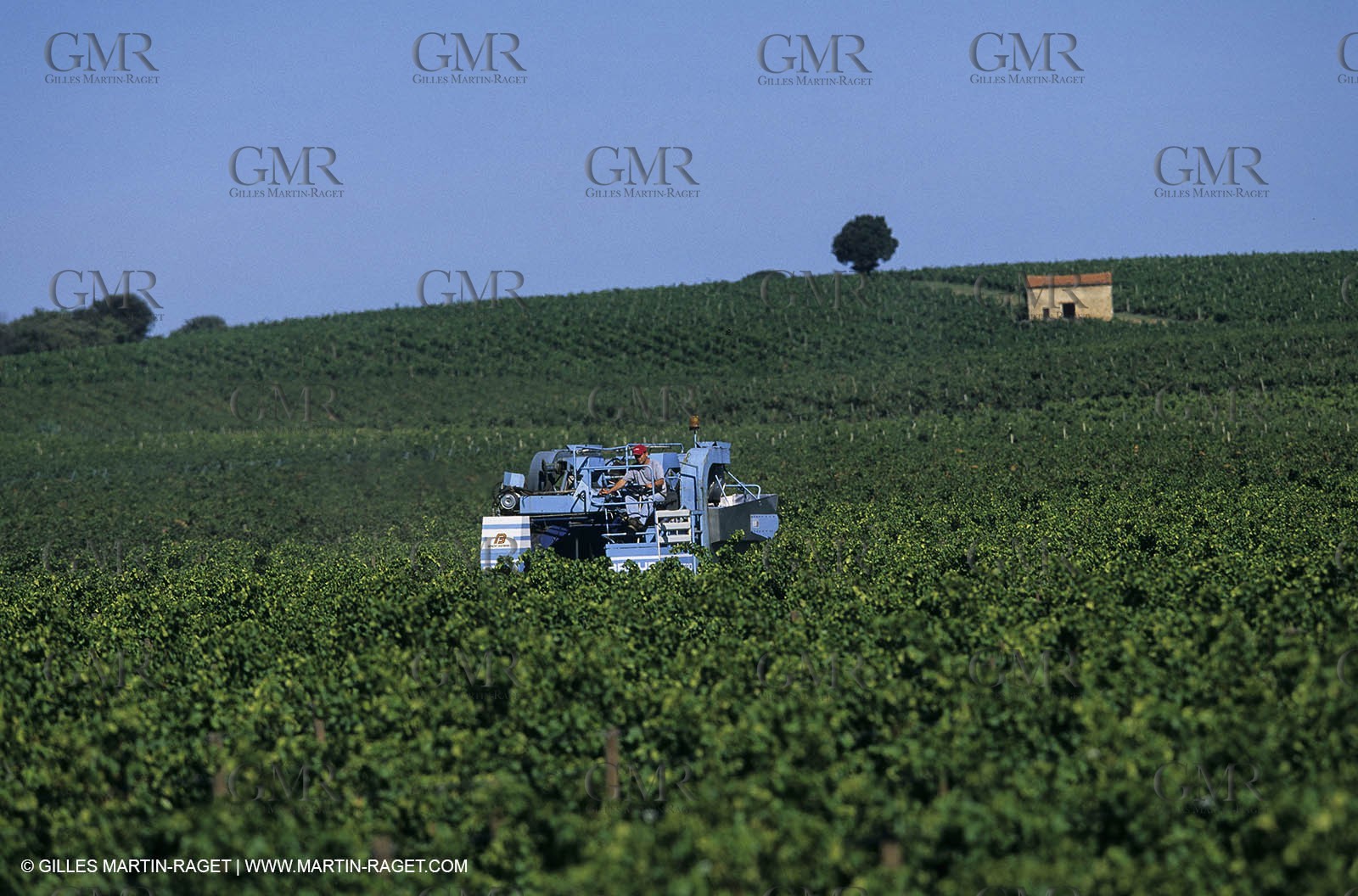 Paysages de Nîmes Métropole (FRA,30) - Les costières