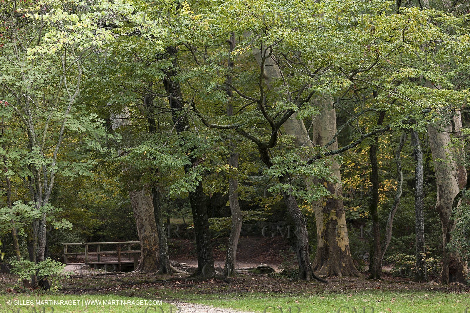 23 10 2012 - Gemenos (FRA) - Départemental Park of Saint Pons valley