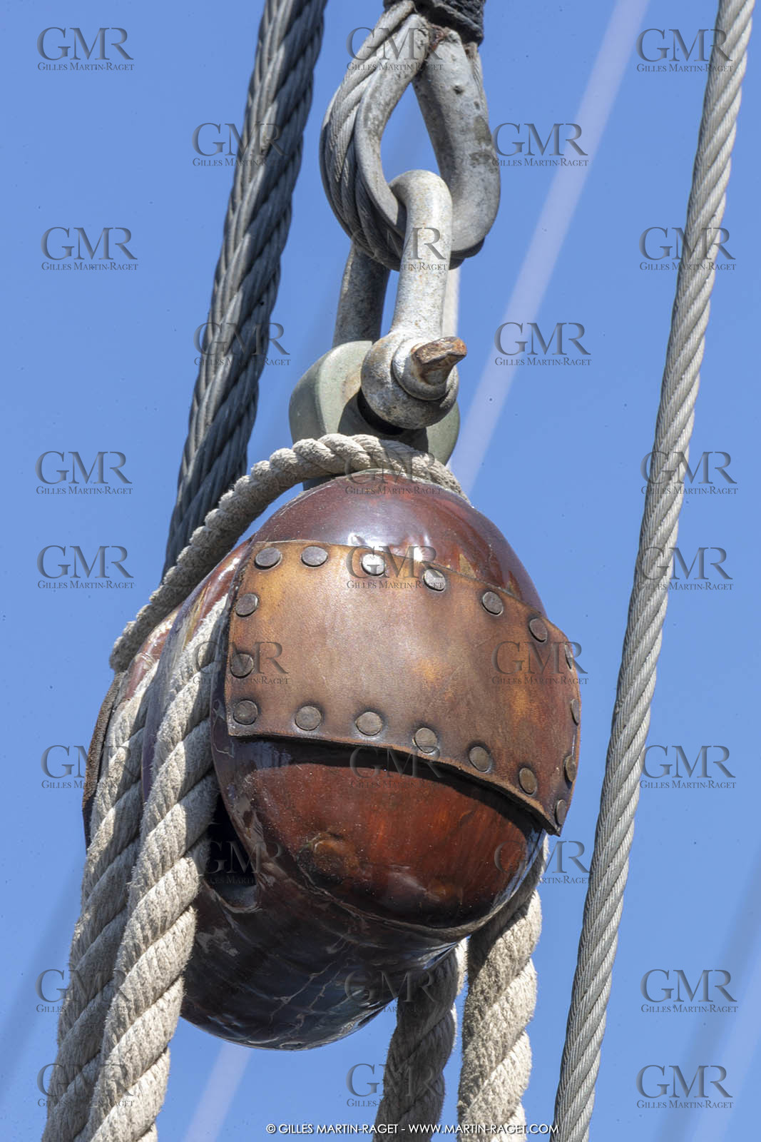 29 03 2019, Barcelona (Spain), Marigold