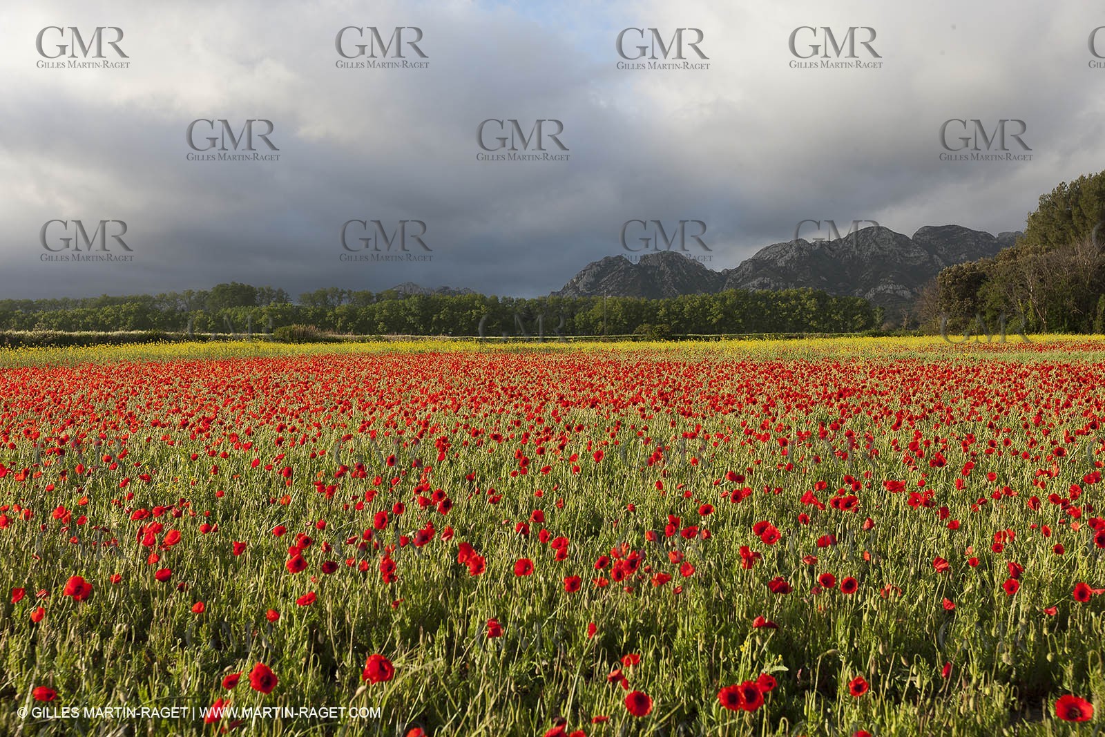 29 04 2012 ( Saint Rémy de Provence (FRA, 13) - Chaîne des Alpilles vers Romanin