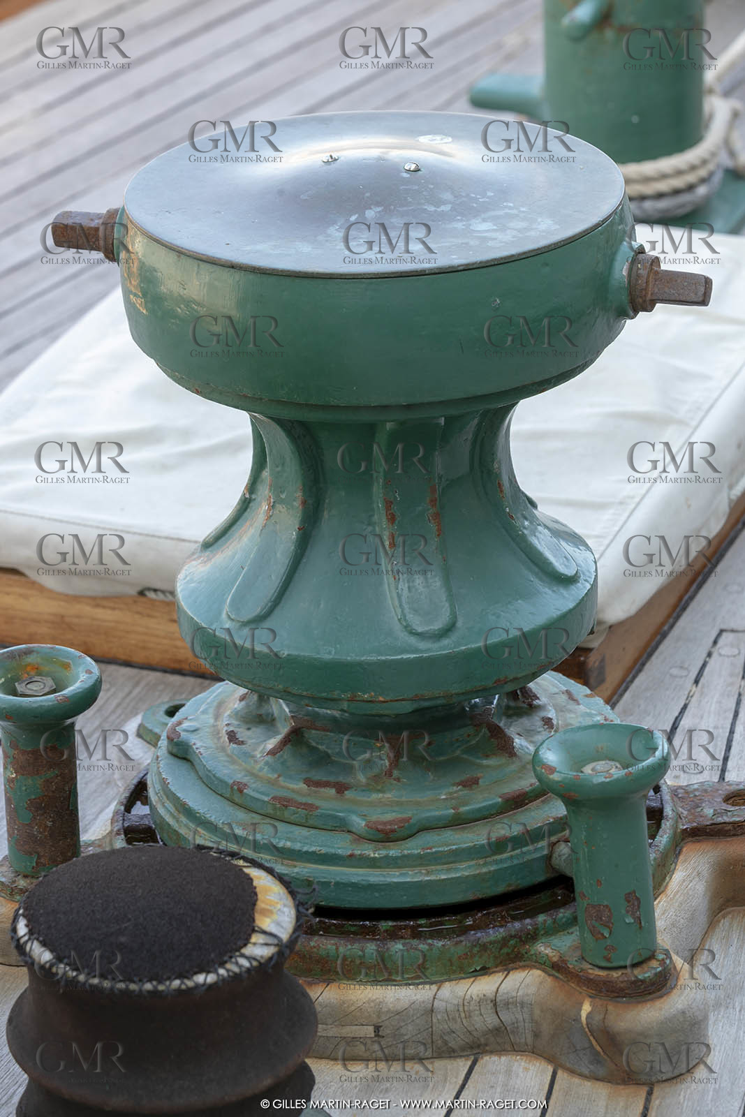 29 03 2019, Barcelona (Spain), Marigold