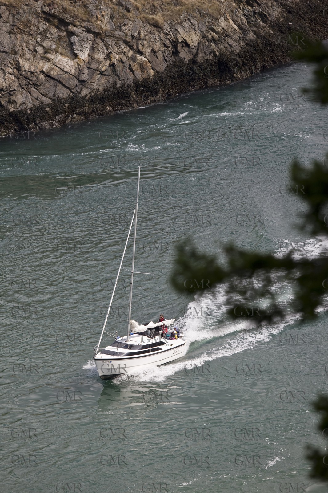 01 09 2008 - San Juan Islands (WA, USA) - Killer Whales