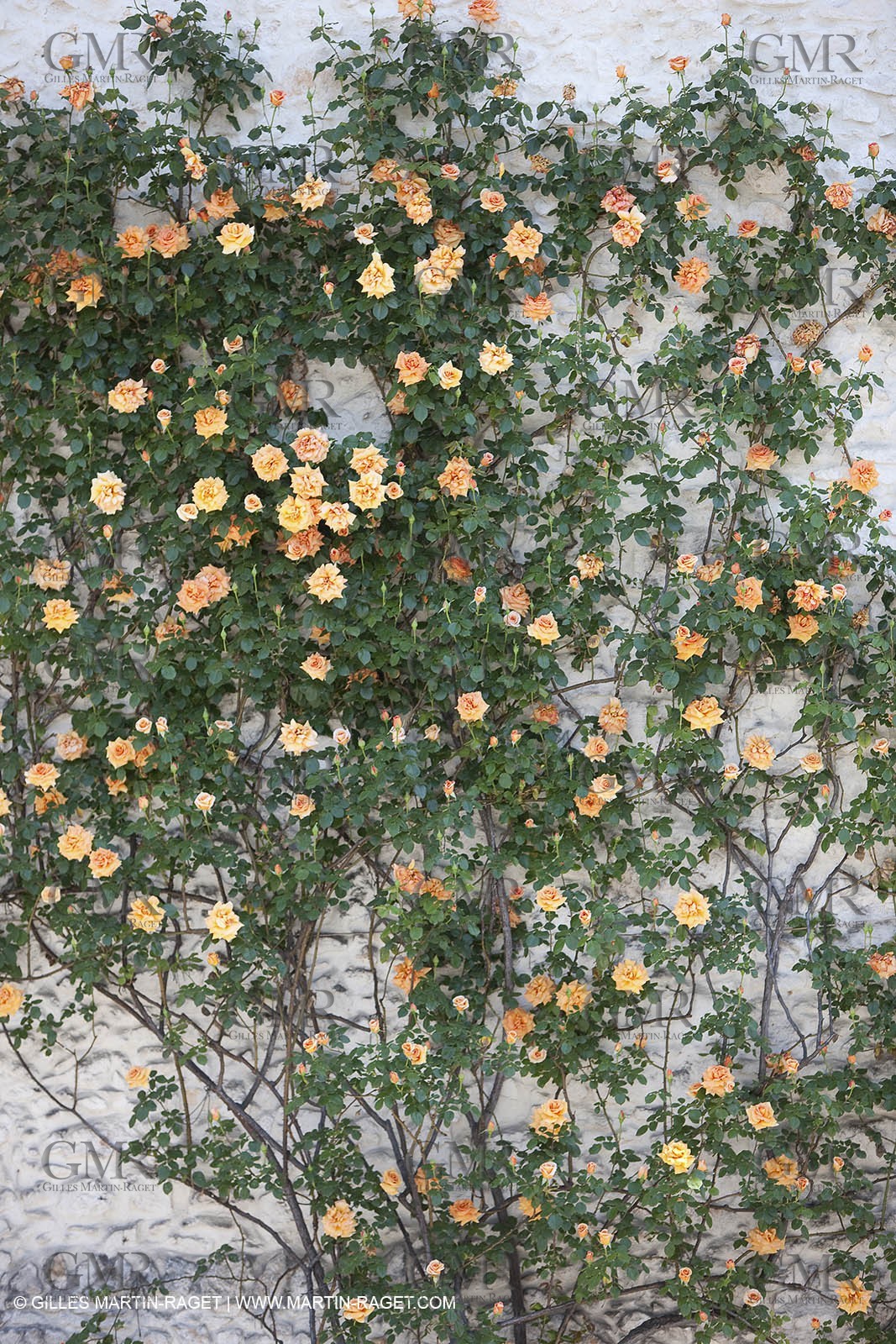 28 04 2009 - Dions (FRA, 30) - Atlas Nîmes Métropole -  2009 campaign