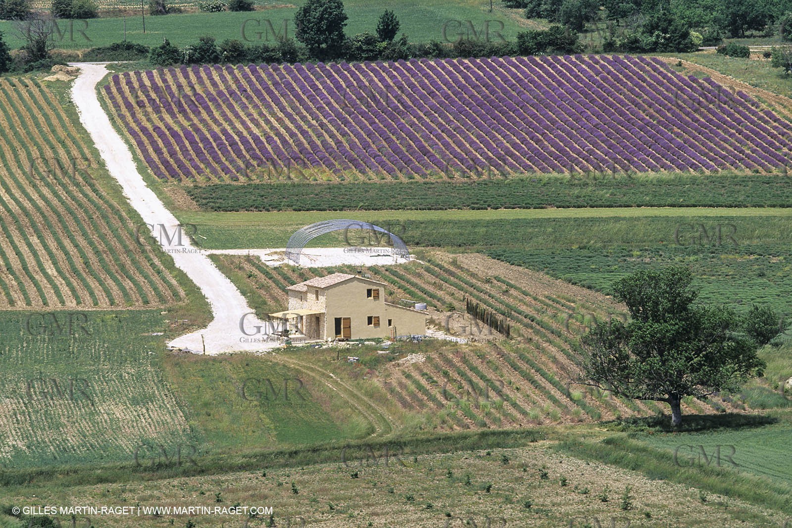 France, Provence, Paysages du Luberon, Luberon Landscapes