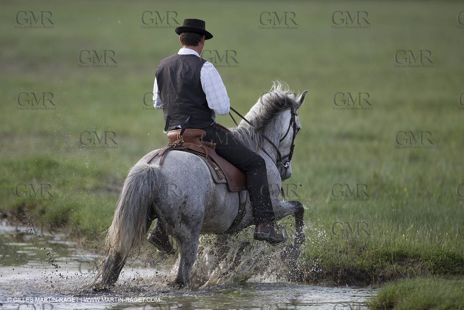 07 05 2008 - Le Cailar (FRA,30) - Tri à la manade du Mas du Pont de Laute