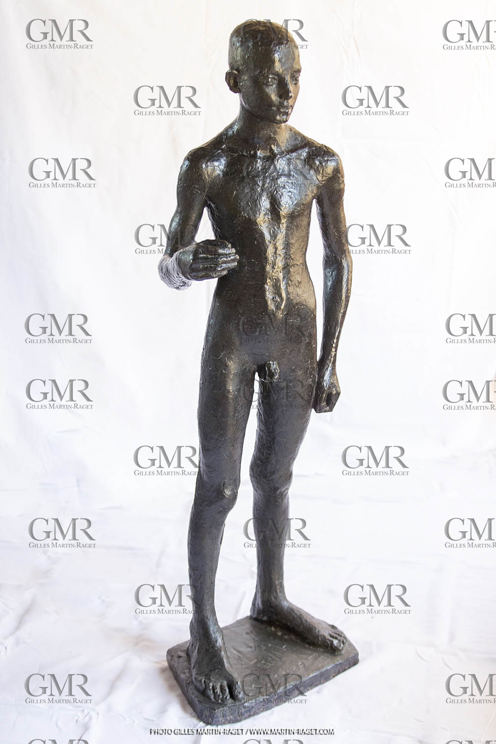 06 03 2016, Saint-Etienne du Grès (FRA,13), Oeuvre de Germaine Richier, Loretto I 1934, Bronze patiné foncé, Numéroté 4 6, fondeur Susse, Paris, 160 x 52 x 35 cm, Collection particulière