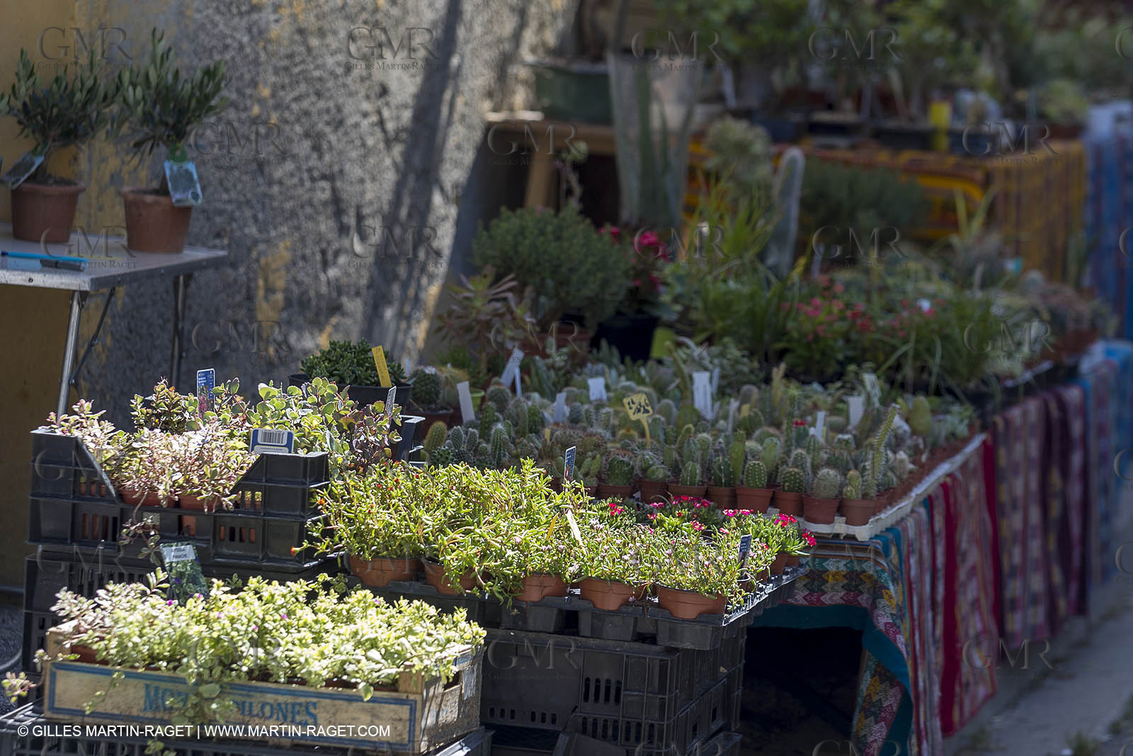 09 06 2018, Apt (FRA,84)