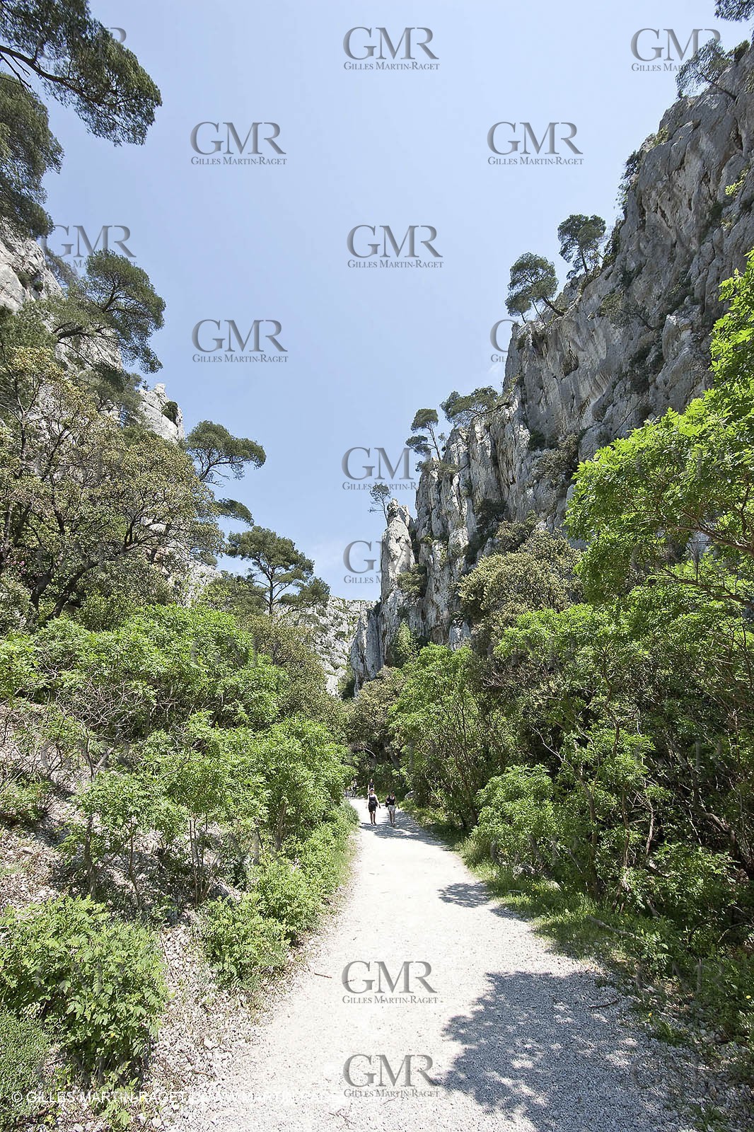 03 05 2009 - Marseille (FRA, 13) - Les Calanques - En Vau - Vallon d'en Vau