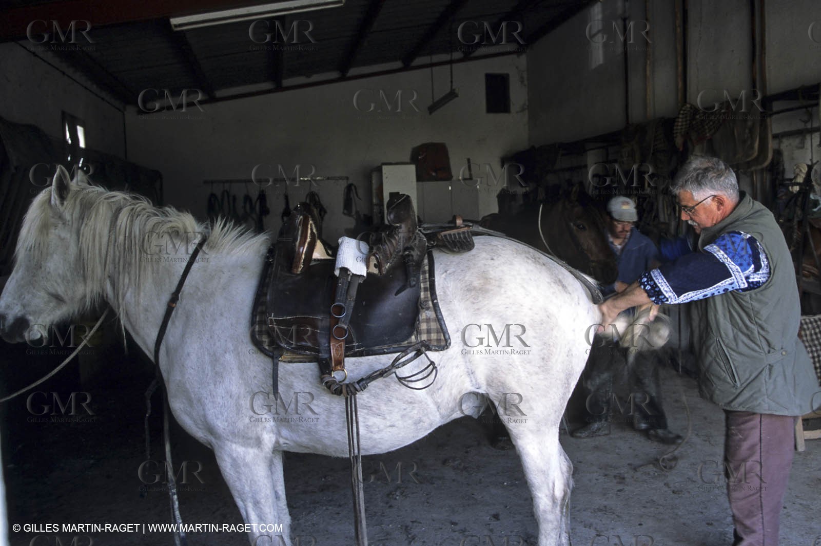 Arles - Camargue gardians (cow boys) at work