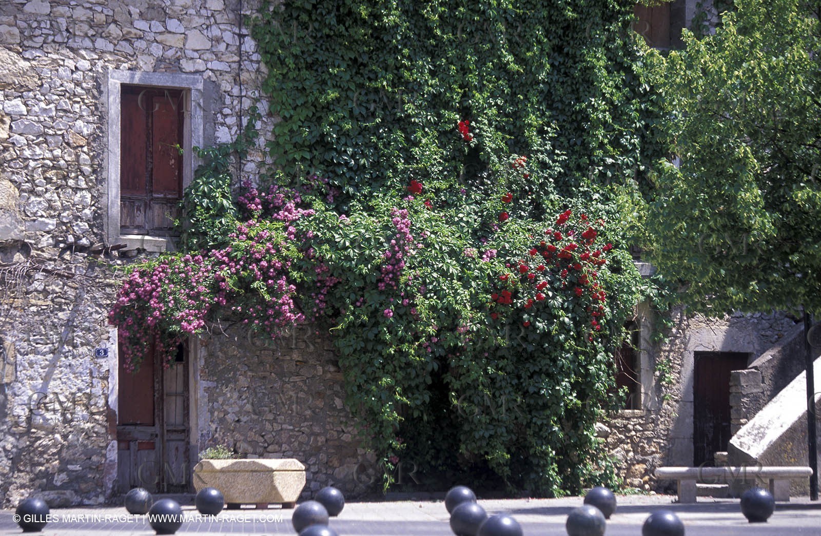La Calmette