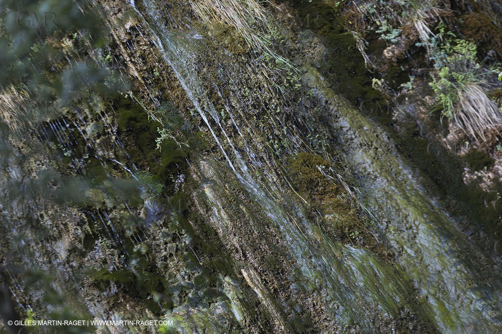 Domaine de la Baume - Tourtour (FRA,83) - 15 05 2014