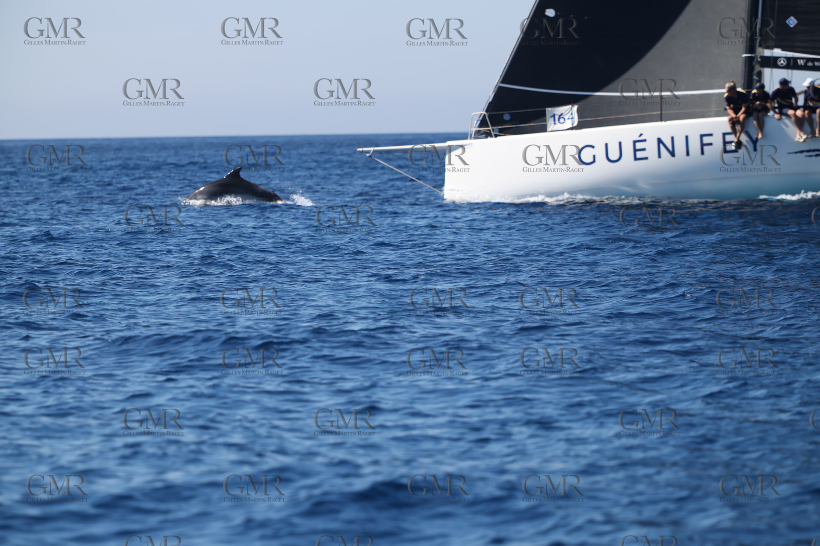 GMR_JurisCup25_3352.jpg