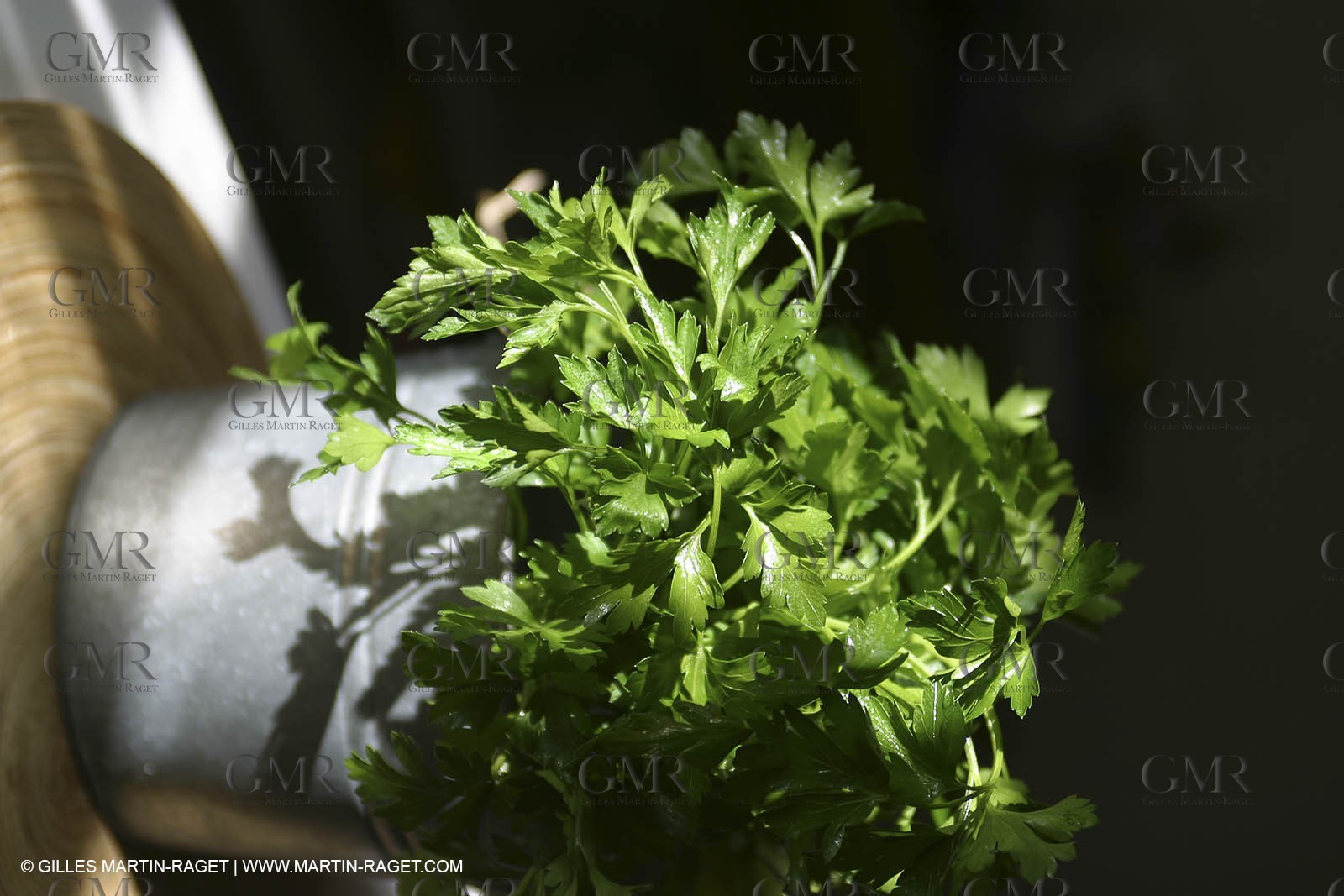 Cooking herbes from Provence - Garlic and Parsley