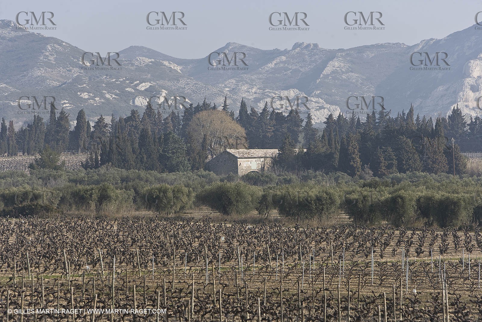 16 02 2008 - Les Baux de Provence (FRA, 13) - Alpilles hills landscapes