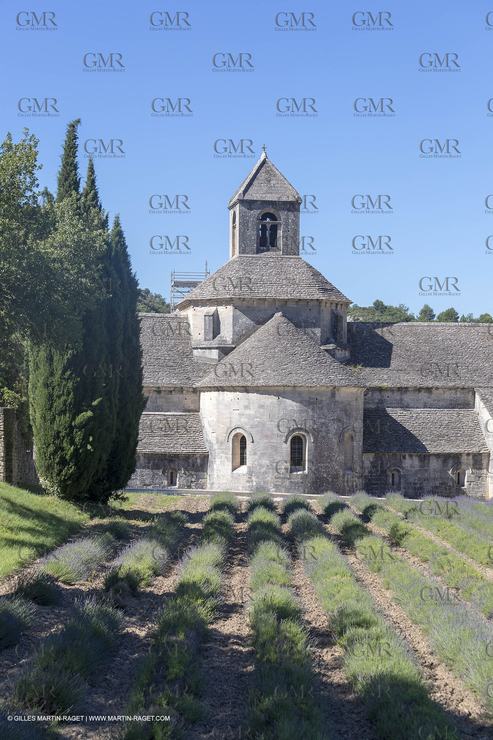 25 06 2018, Gordes (FRA,84), Abbaye de Sénanque