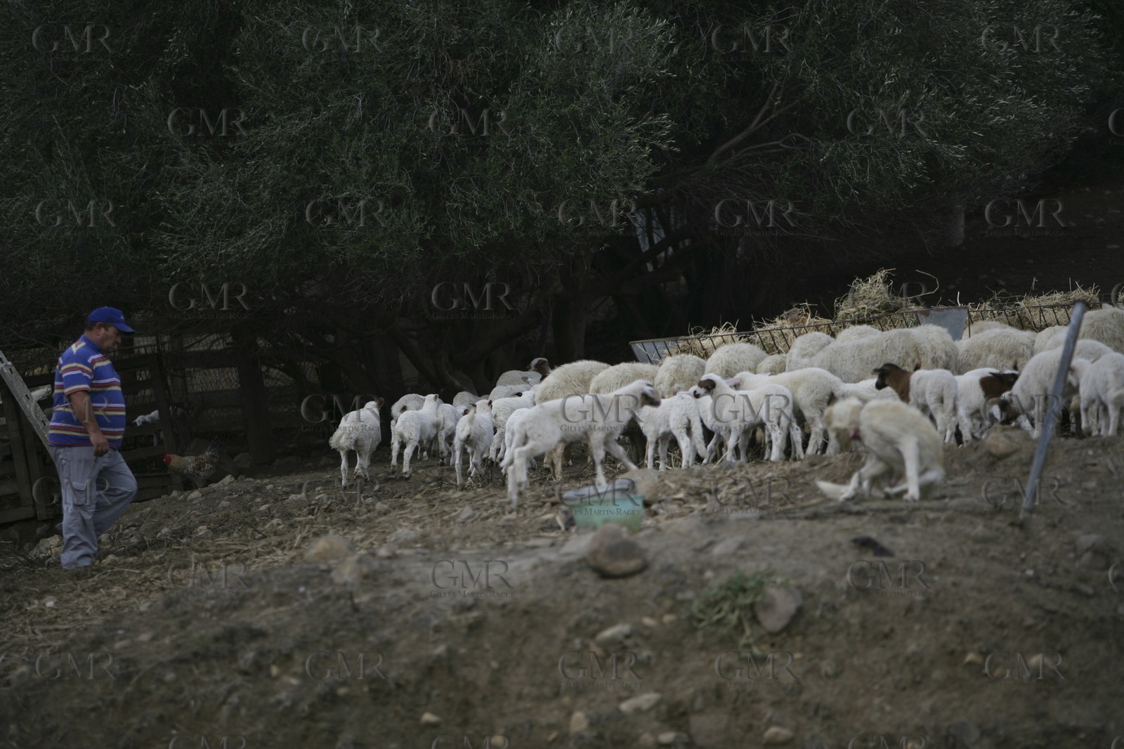 2005 - Trapani (ITA, SIcile)