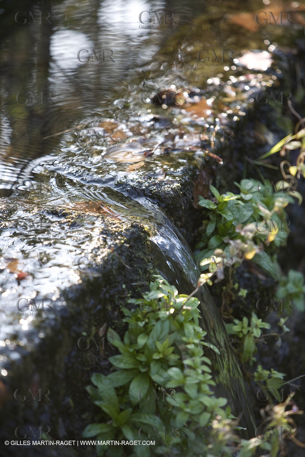 28 10 2007 - St Rémy de Provence (FRA,13) - Chateau des Alpilles