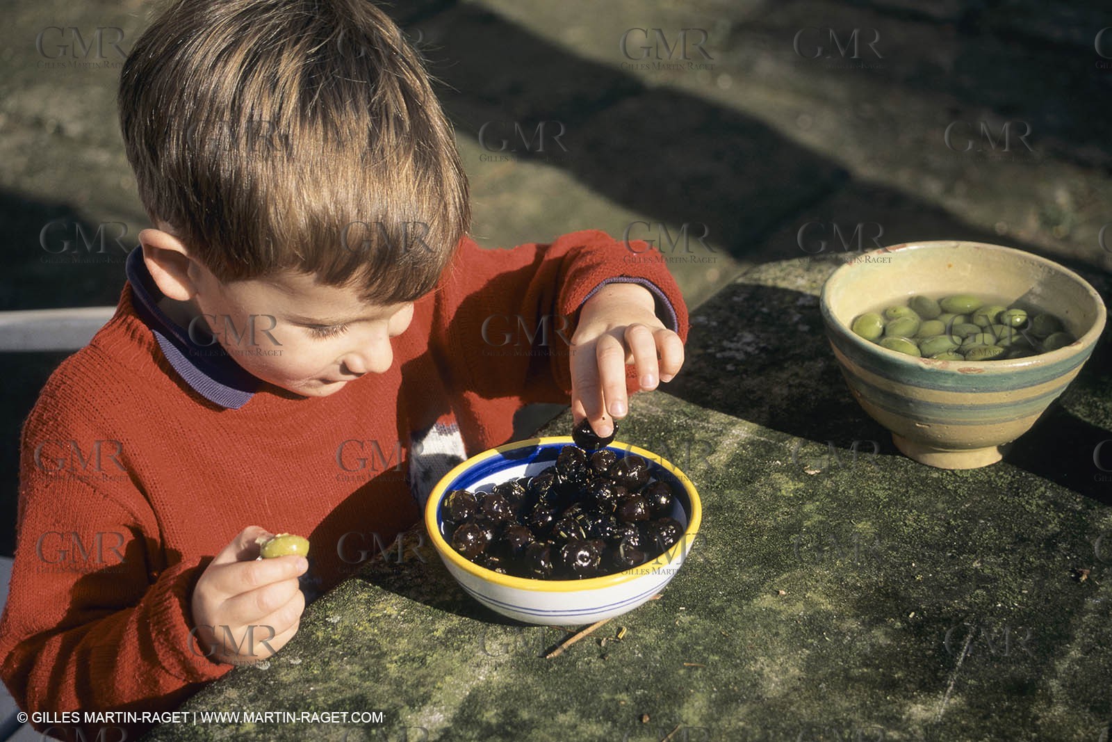 France, Provence, Alpilles, AOC Vallée des Baux, olive trees fields, olive oil production