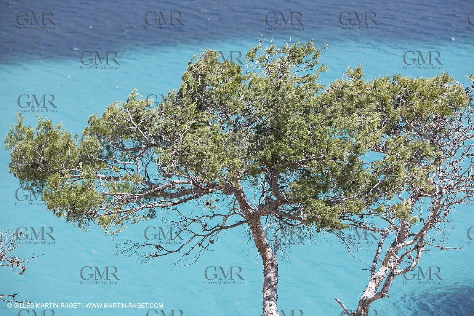 27 05 2009 - Marseille (FRA, 13) - Les Calanques - Sormiou