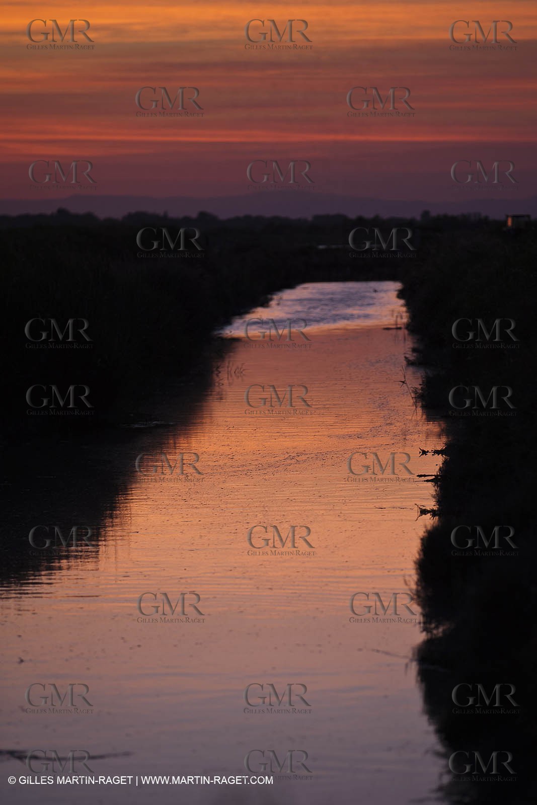 25 05 2011 - Les Saintes Maries de la Mer (FRA,13) - gypsies gathering