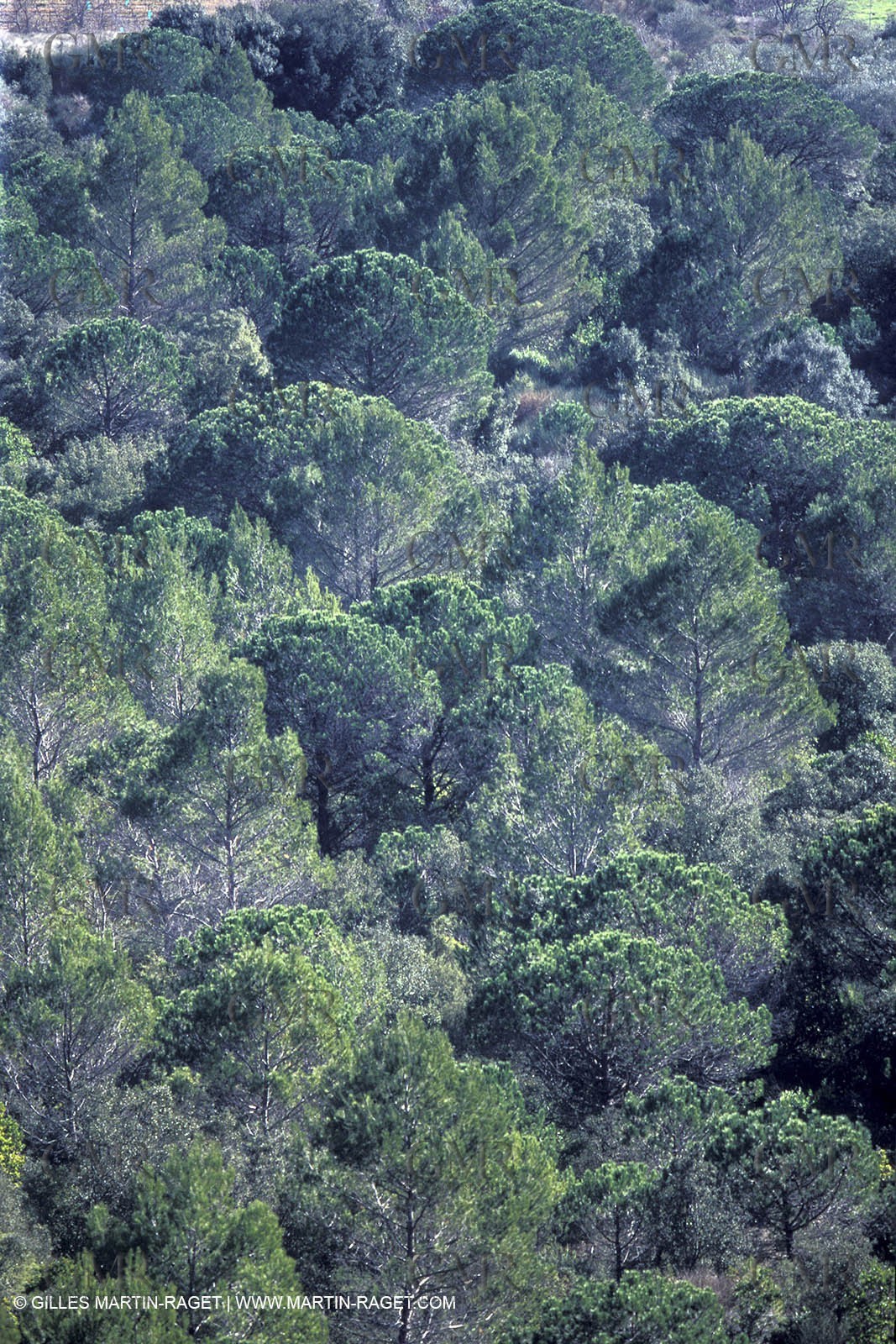 Saint Côme and Maruejols