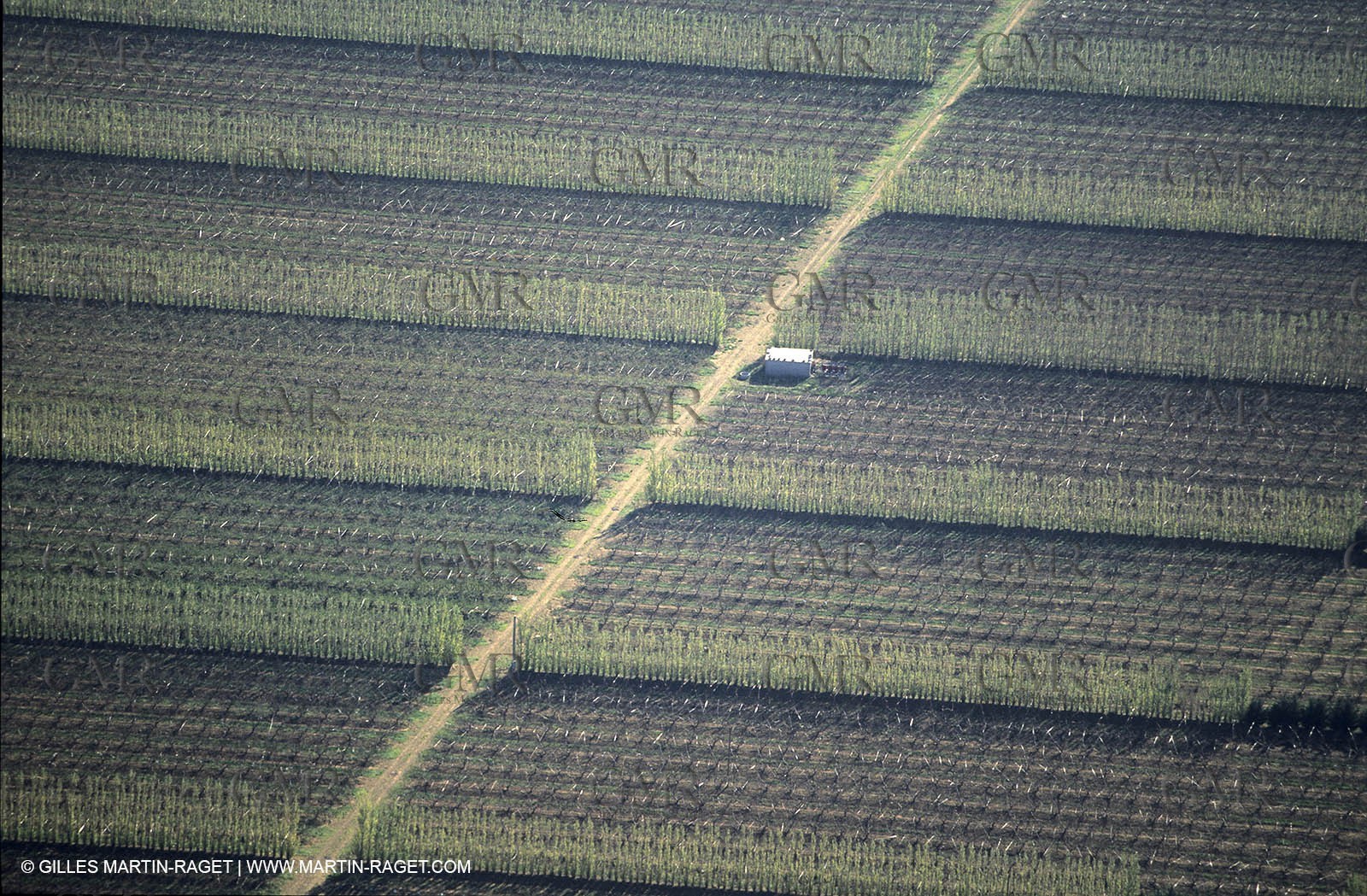 Agriculture near Eguyères