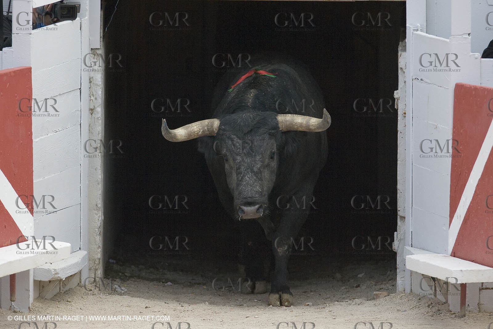25 03 2008 - Arles (FRA, 13) - Feria 2008 - Corrida de Miura