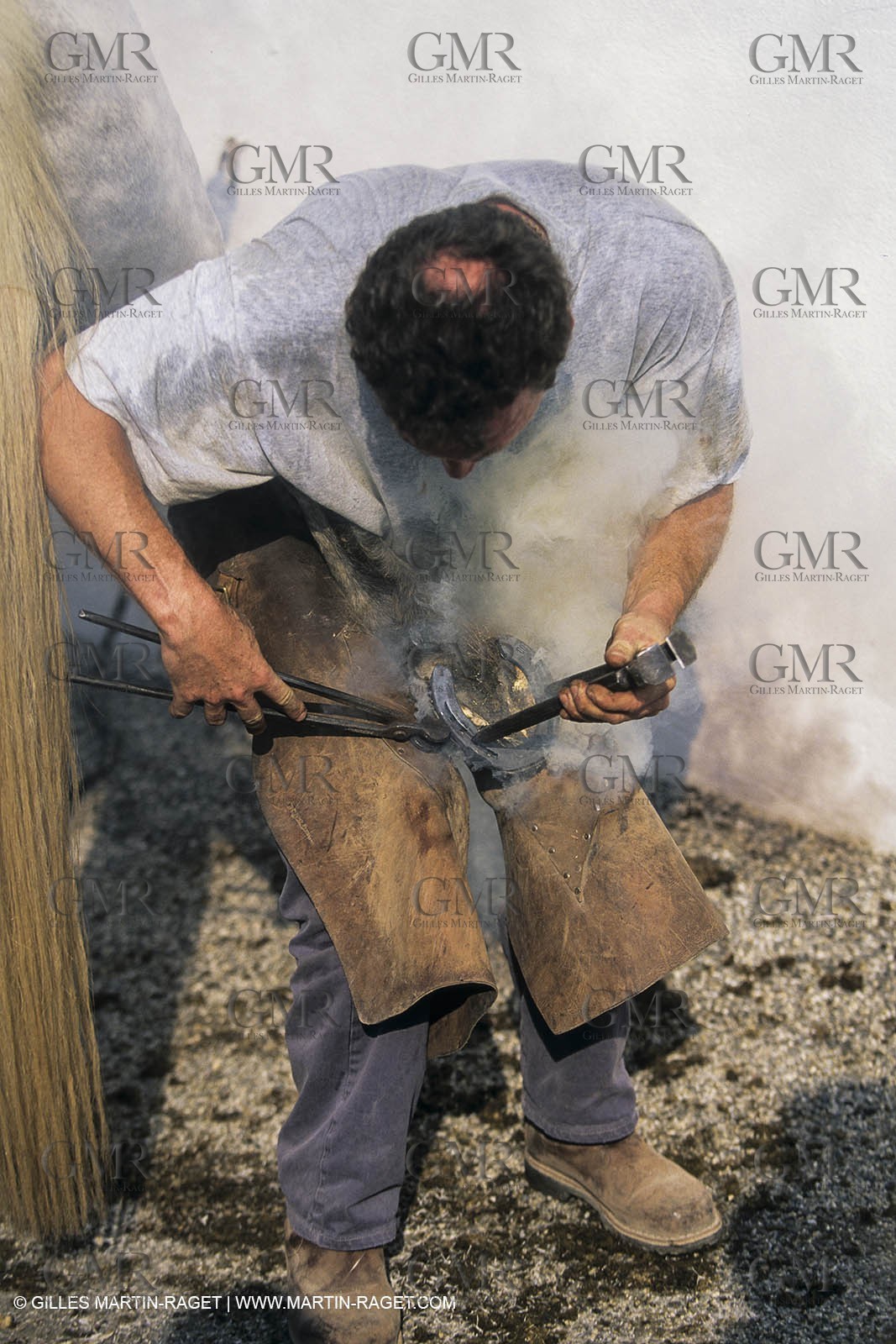 France, Provence, Camargue, Gardians de Camargue, métier, fêtes, élevage, tri