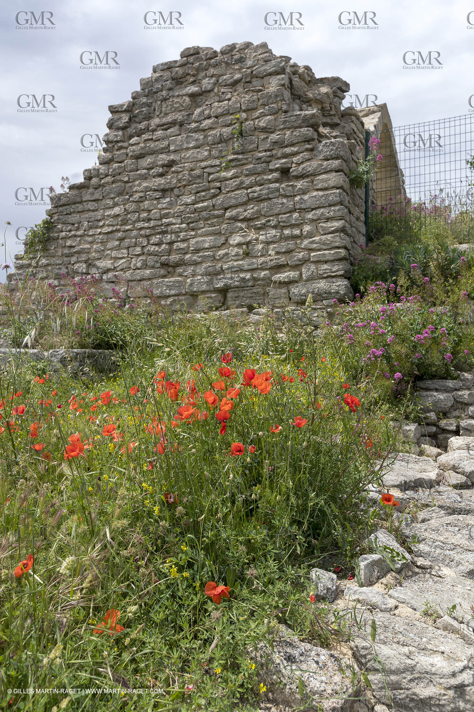 10 06 2018, Saignon (FRA,84)