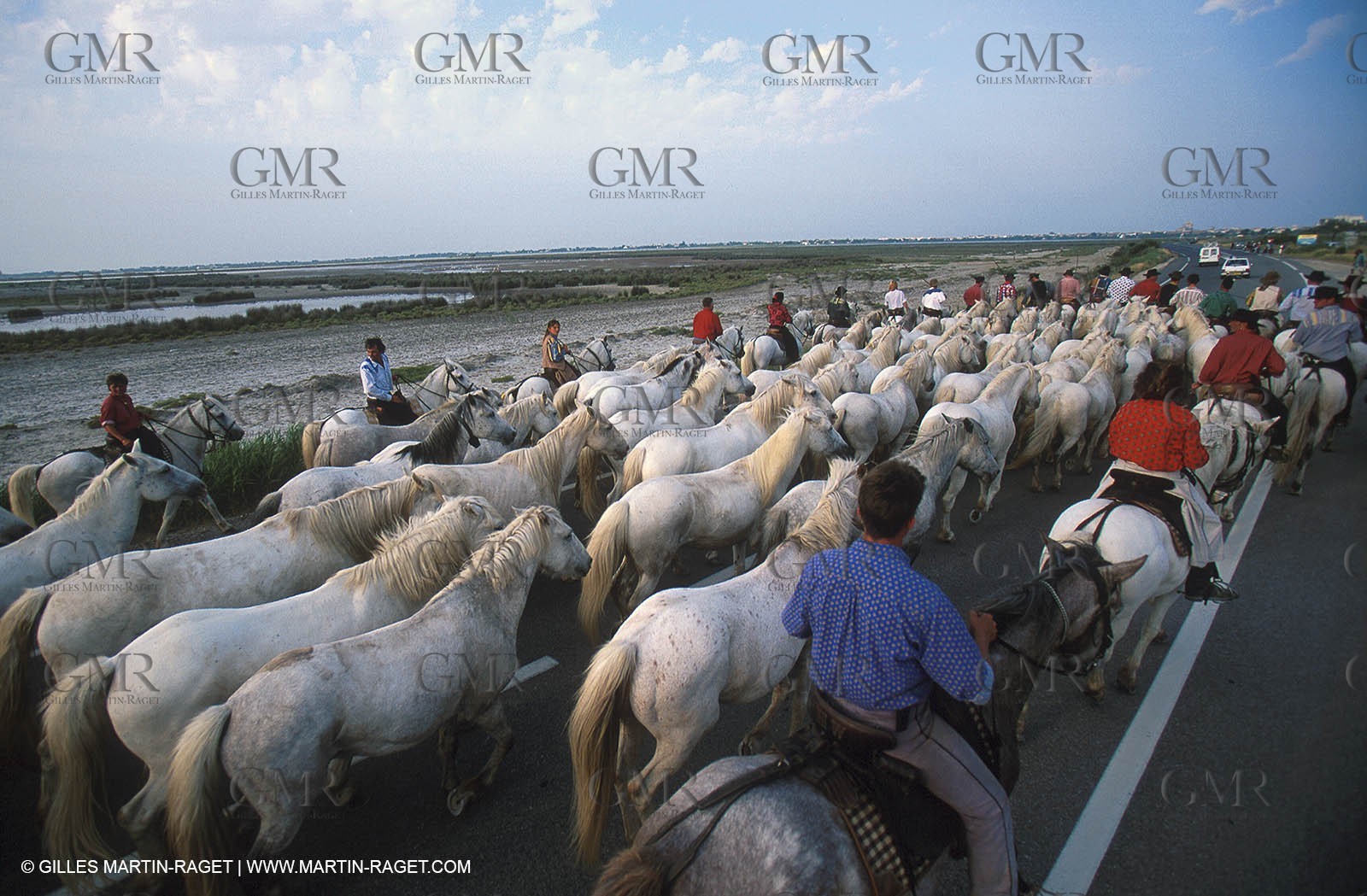 Arles - Travail des gardians de Camargue