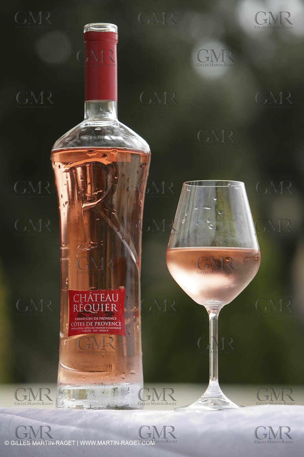 28 02 2008 - Cabasse (FRA, 83) - Domaine du Lac vines