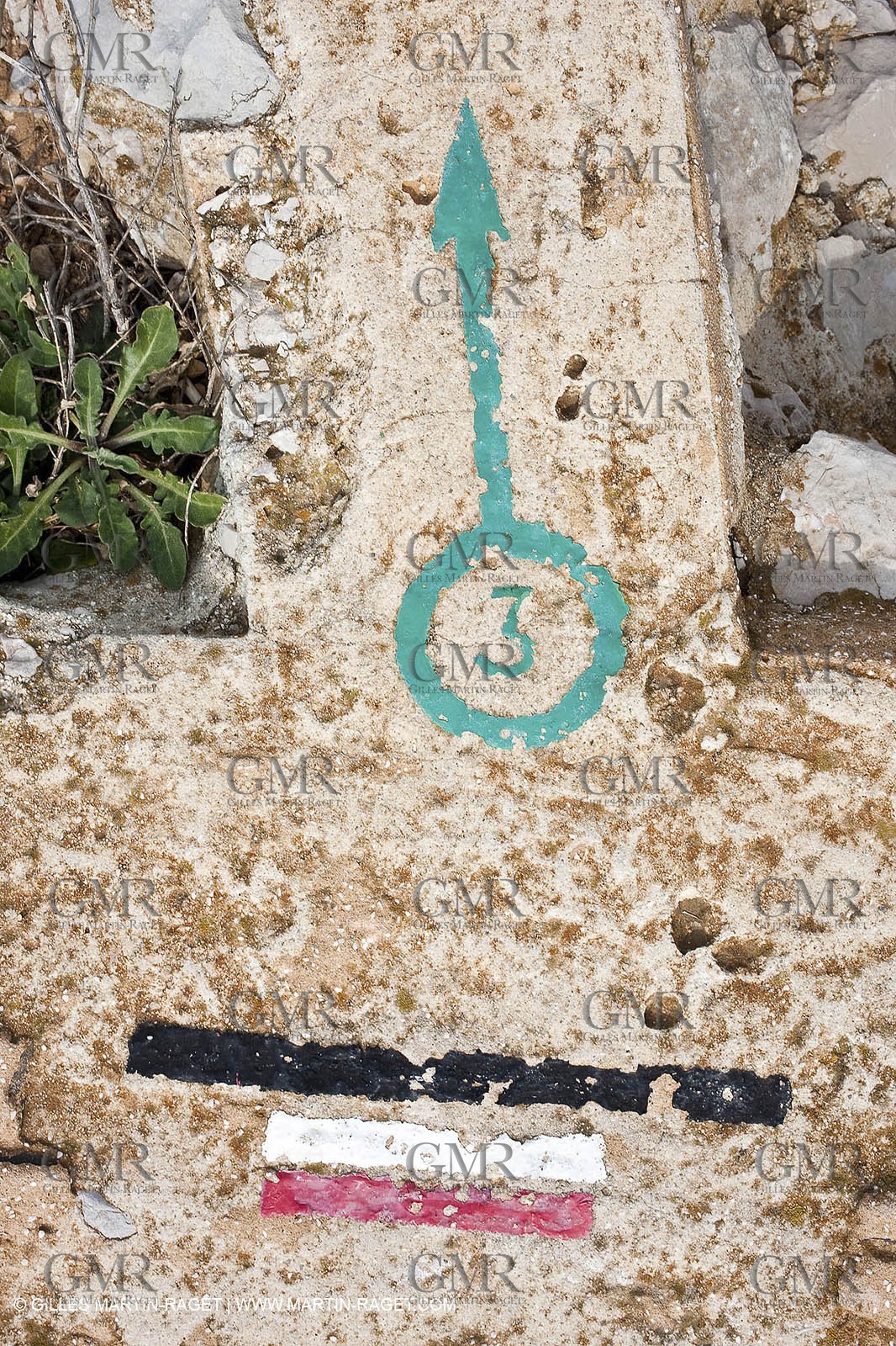 19 03 2009 - Marseille (FRA, 13) - Calanques - Calanque de Marseilleveyre