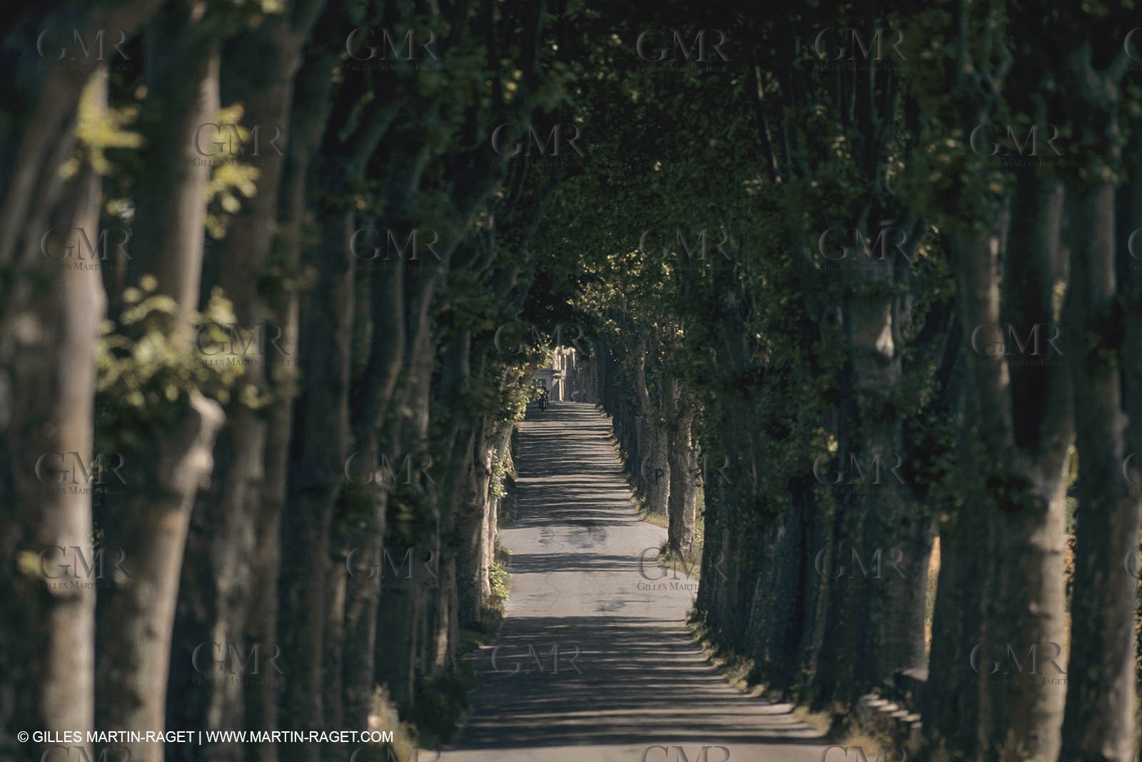 France, Provence, Route Napoleon, Napoleon Road