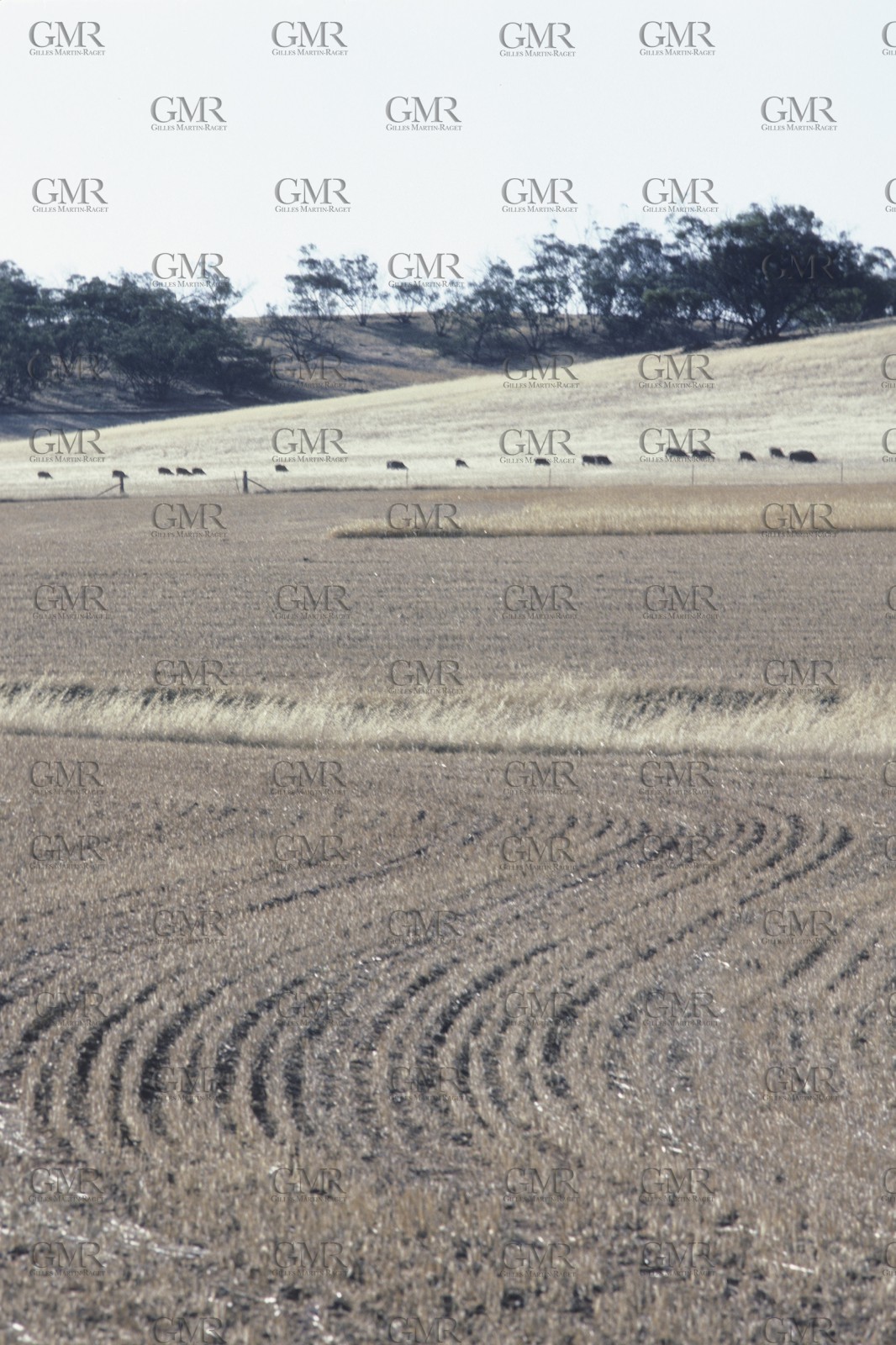 Destinations, Australia, Western Australia