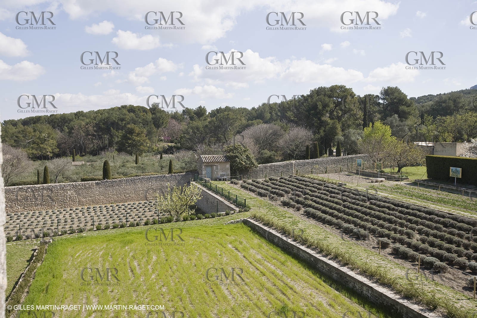 25 02 2005 - Saint Rémy de Provence - (FRA, 13) - Vincent Van Gogh south - Saint Paul de Mausole