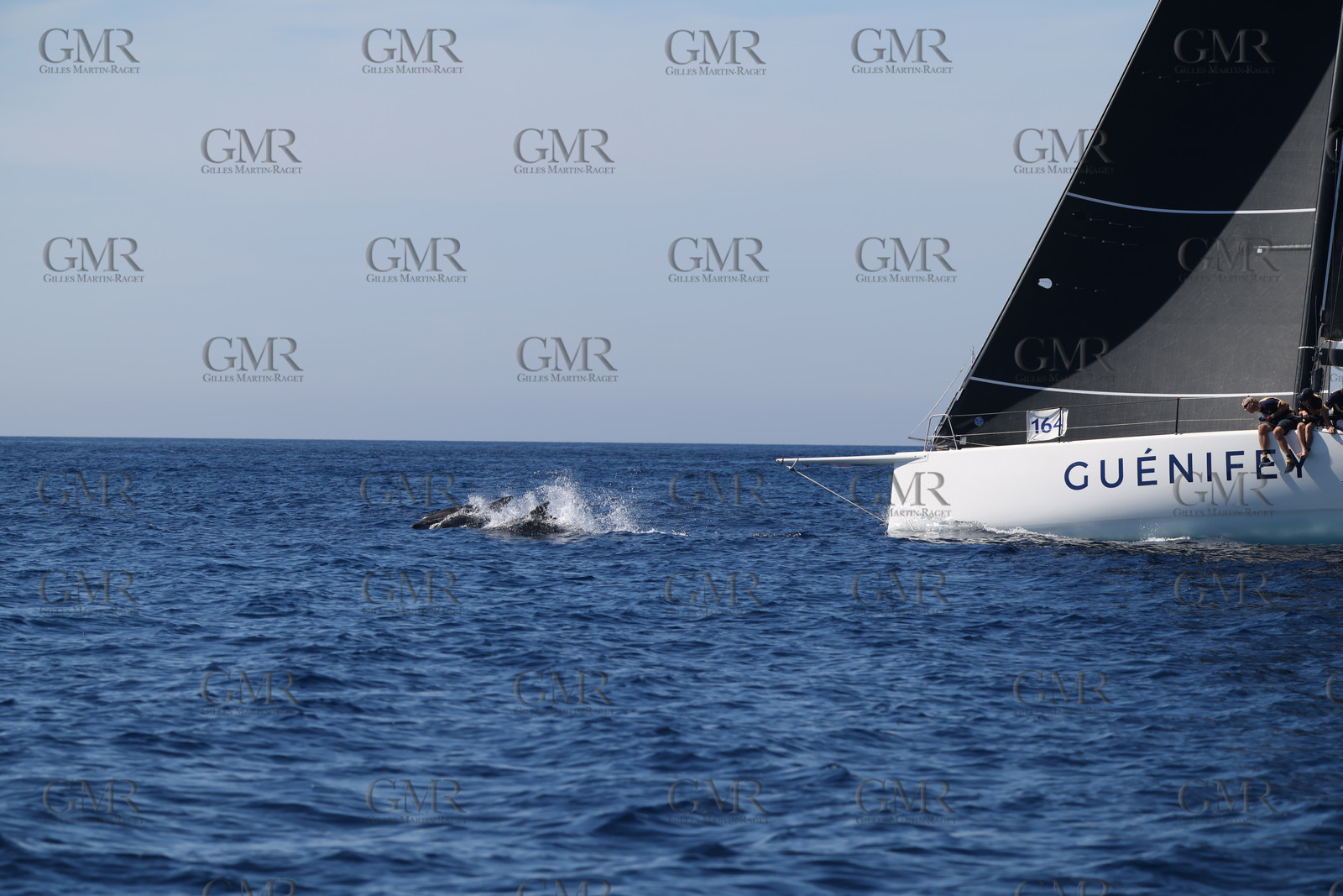 GMR_JurisCup25_3349.jpg