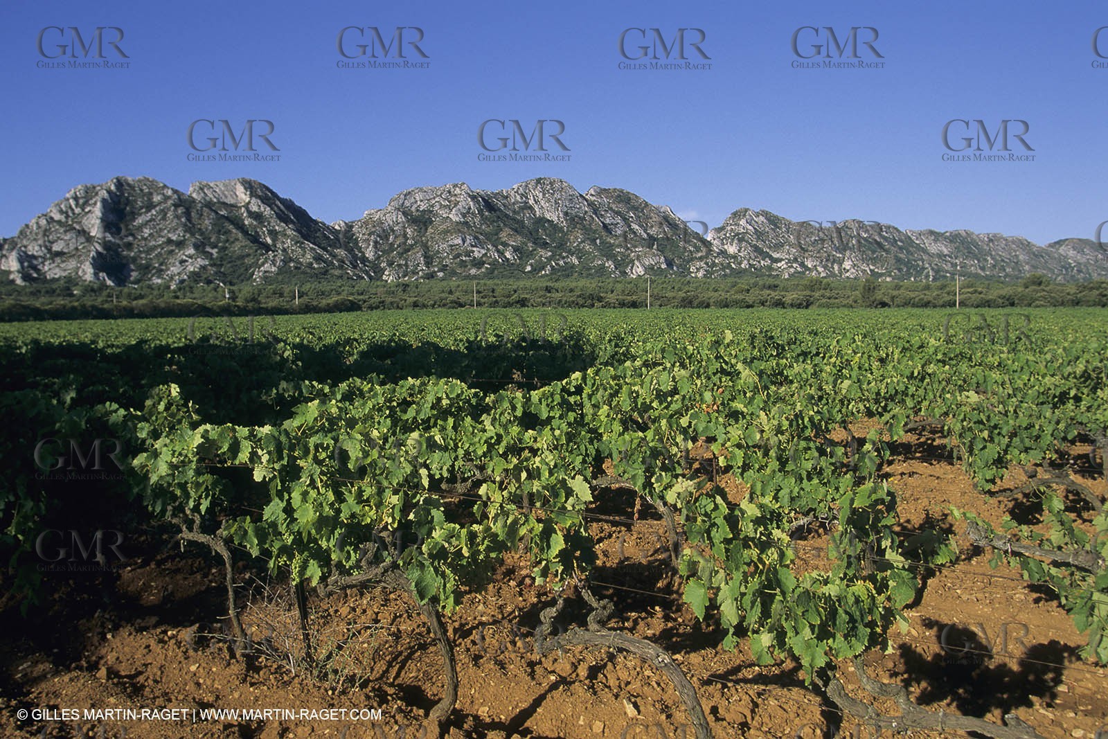 France, south, Alpilles landscapes