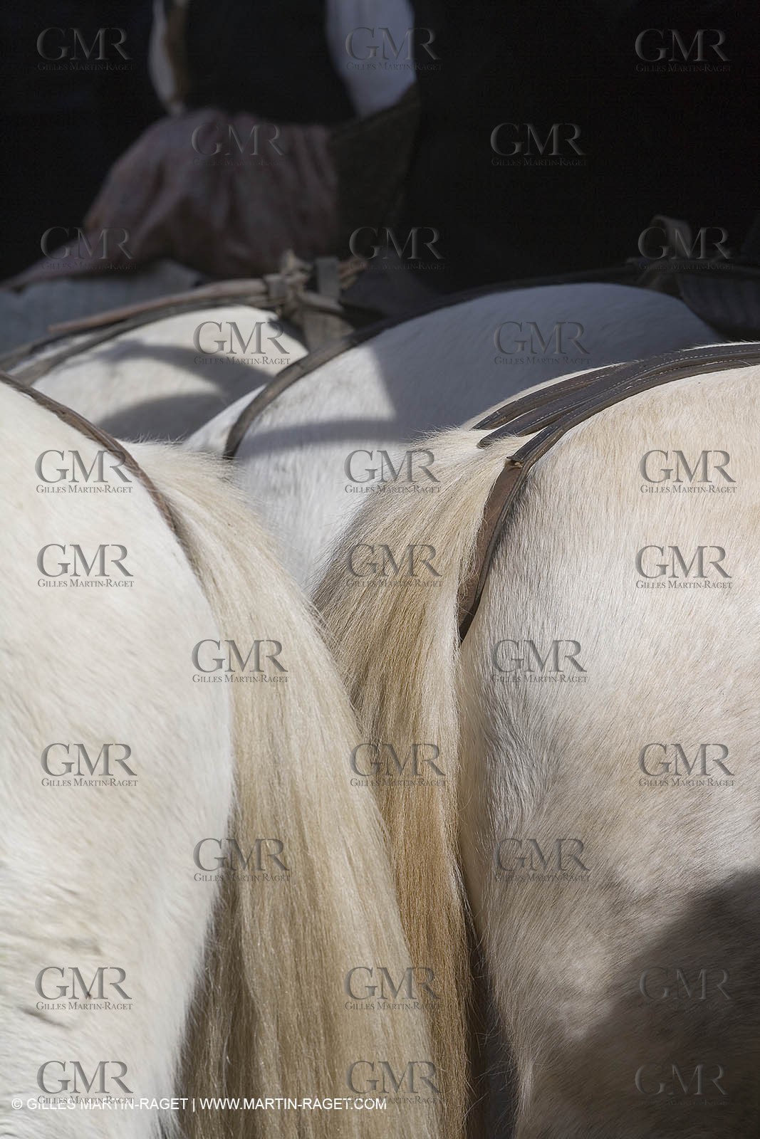 04 03 2007 - Aimargues (30, FRA) - Souvenir Fanfonne Guillerme