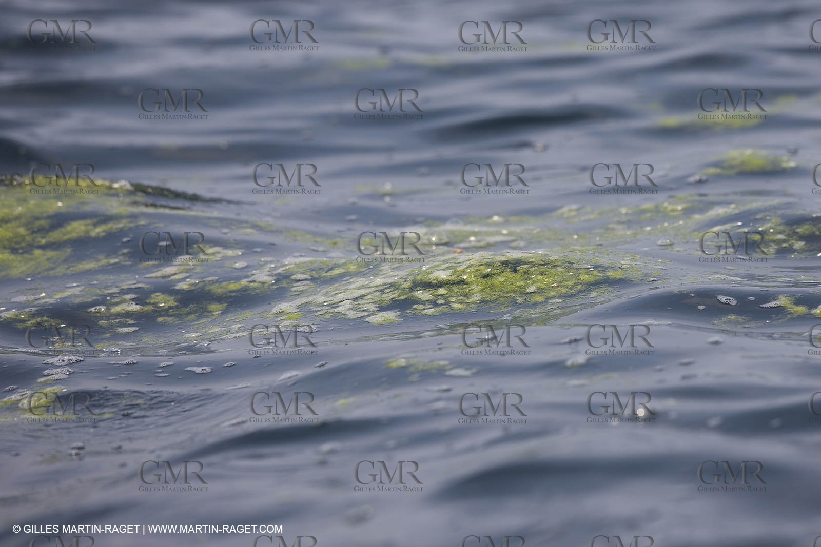 15 08 2008 - Qingdao (CHN) - 2008 Olympic games - Day 7