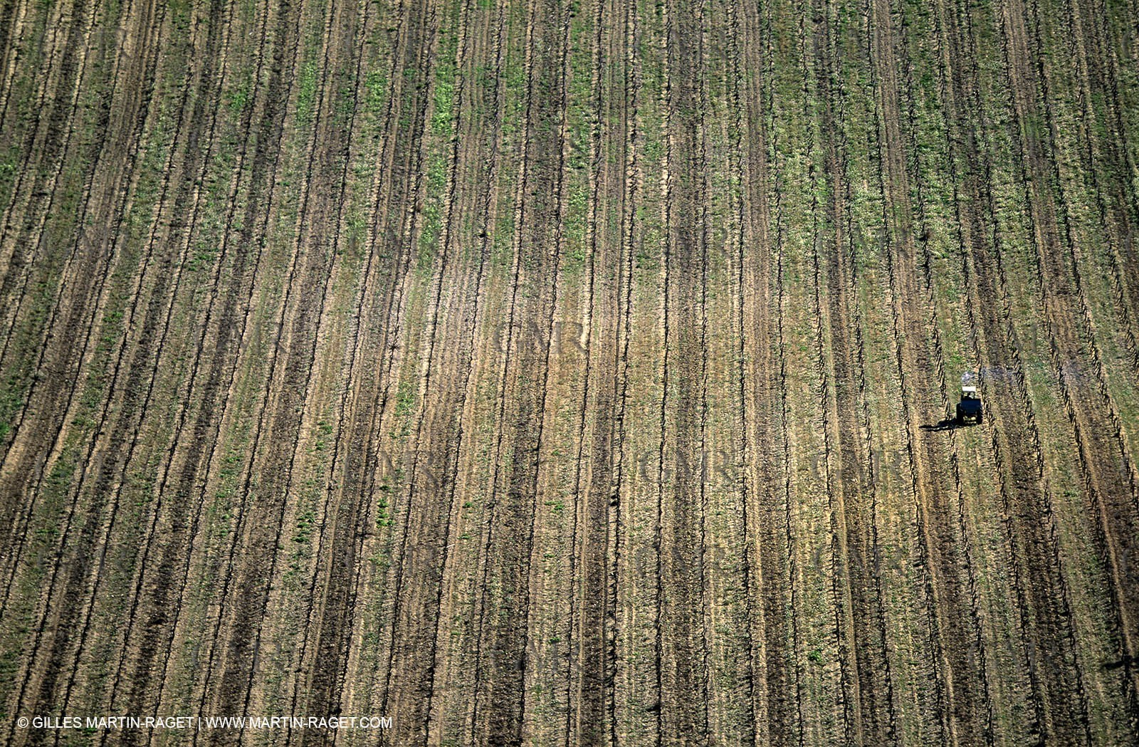 agriculture near Saint Chamas