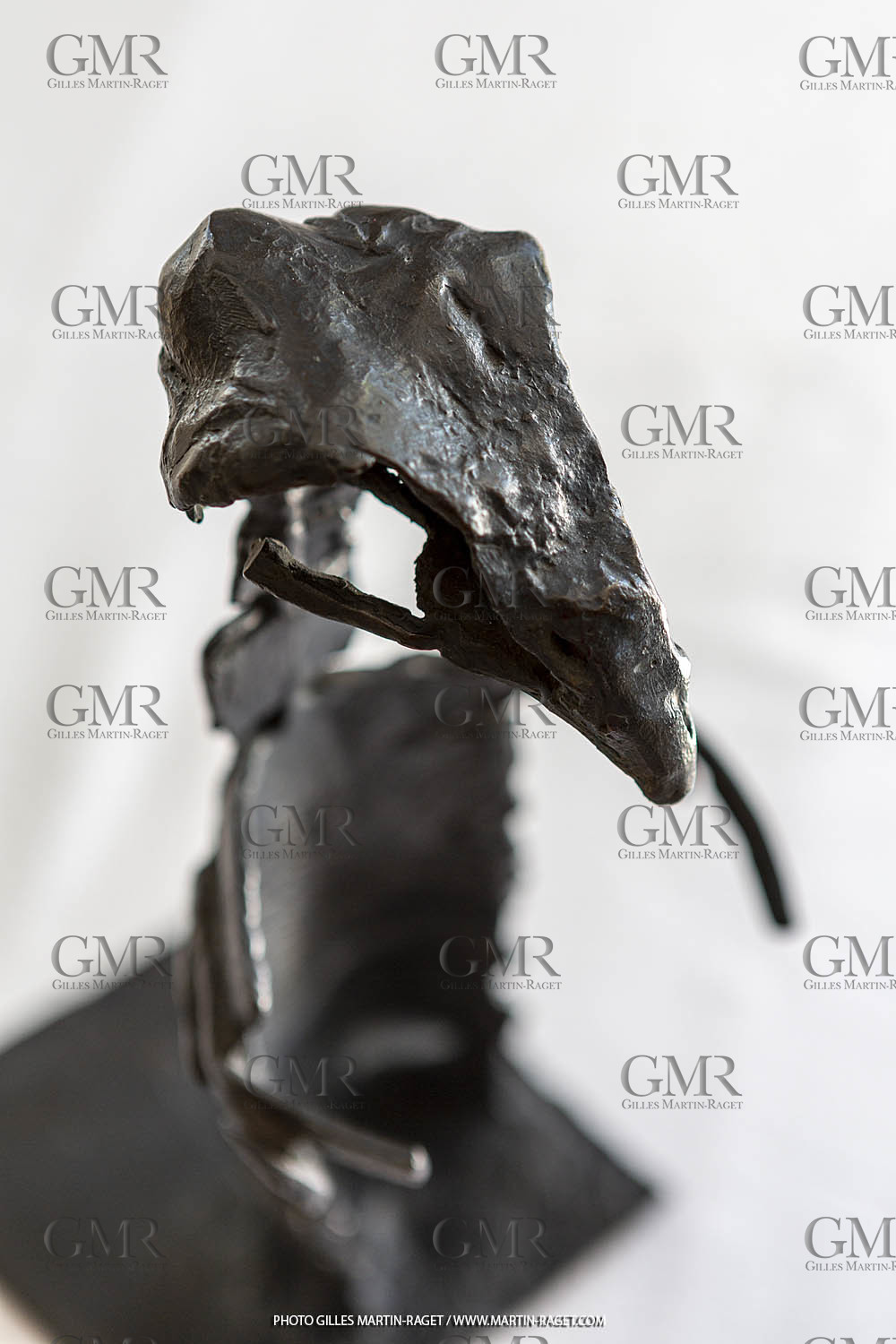 12 07 2020, St Rémy de Provence (FRA,13), Oeuvre de Germaine Richier, L'oiseau 1953, Bronze patiné foncé, Numéroté HC3, Fondeur :L.Thinot, Paris, 28,5 x 15,5 x 15,5 cm, collection particulière