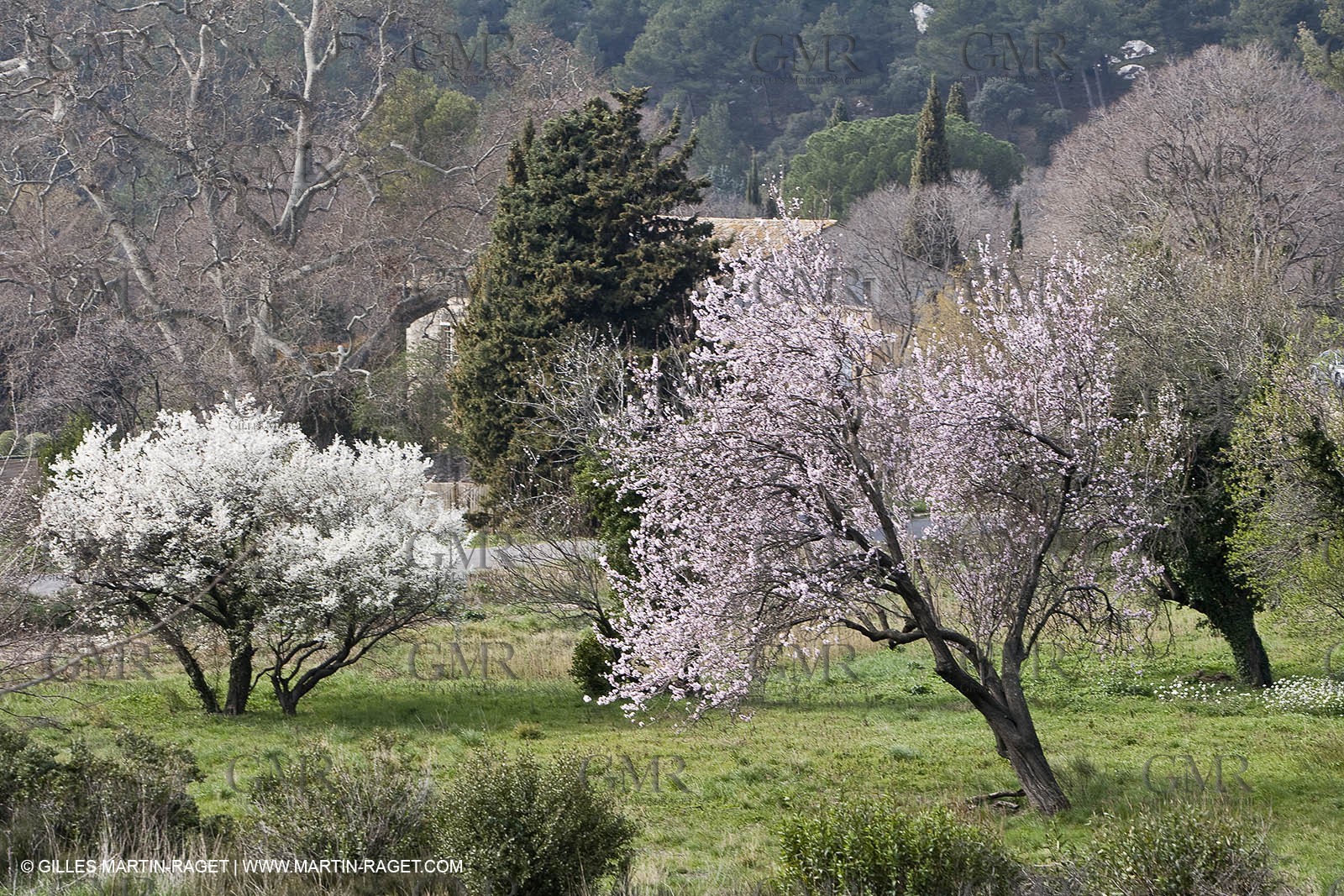 16 02 2008 - Les Baux de Provence (FRA, 13) - Alpilles hills landscapes
