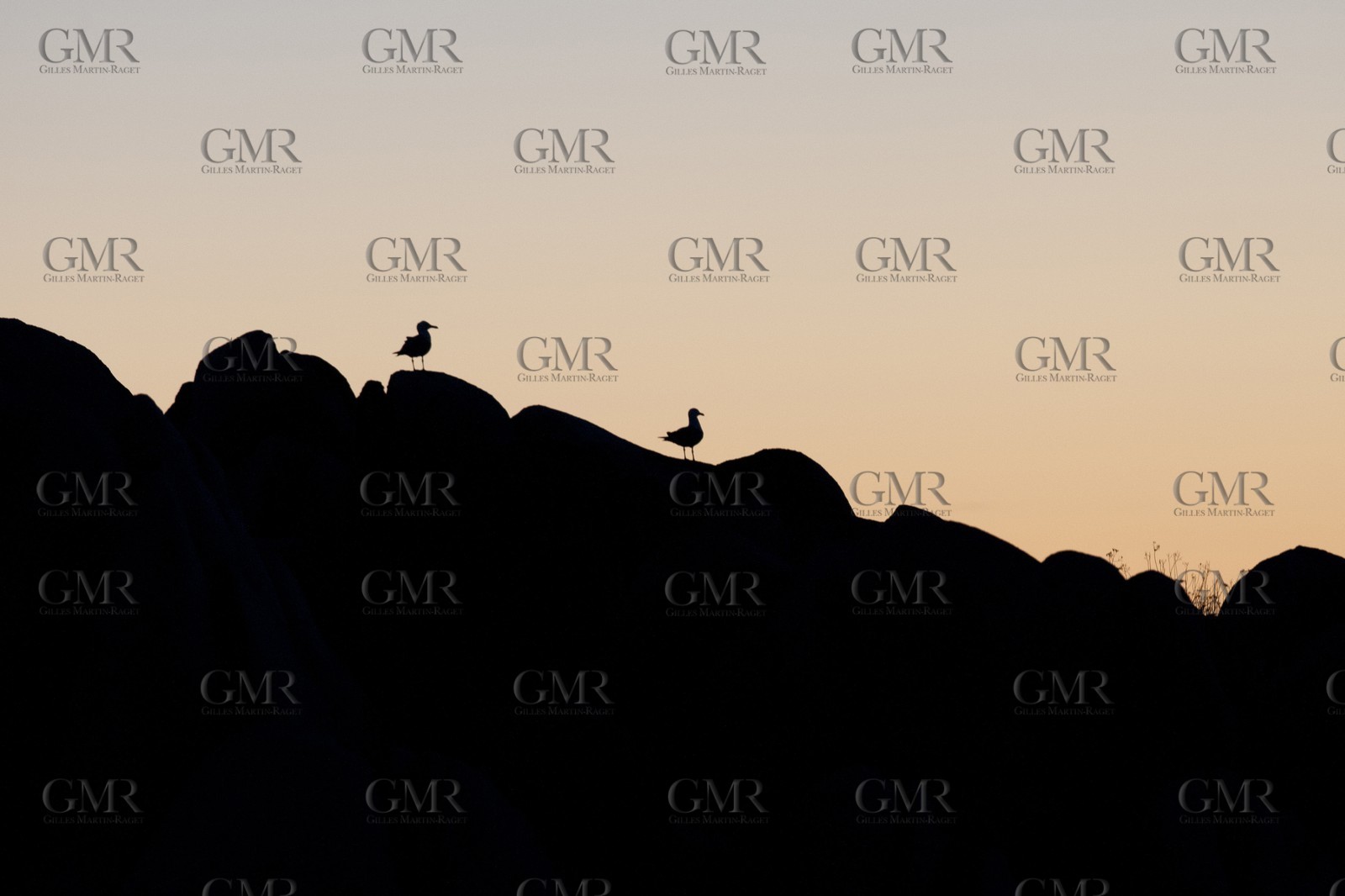 02 05 2012 - Bonifacio (FRA, Corsica) - Lavezzi islands