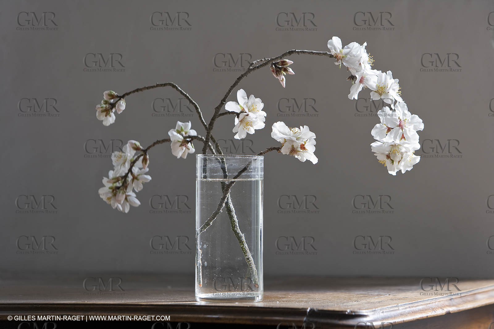 16 02 2008 - Saint Rémy de Provence (FRA,13) - Vallon raget - Almand tree branch