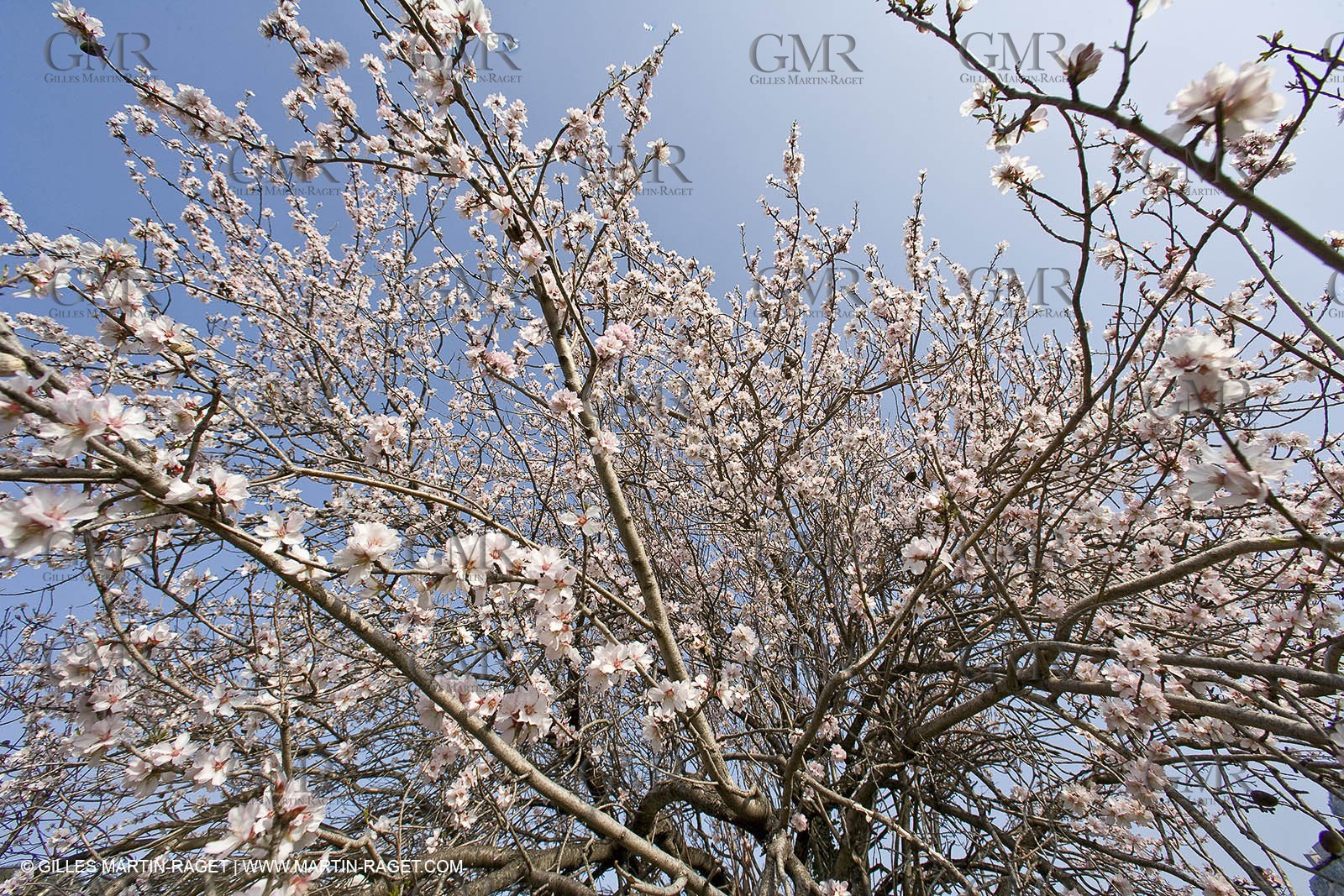 16 02 2008 - Les Baux de Provence (FRA, 13) - Alpilles hills landscapes
